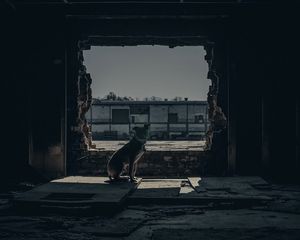 Image post by @natereimers on Instagram