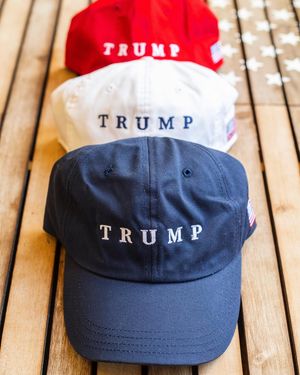 Image post by @trump on Instagram
