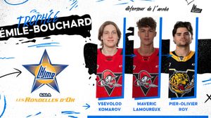 Image post by @lhjmq_qmjhl_ on Instagram