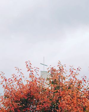 Image post by @olivetnazarene on Instagram