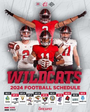 Image post by @iwuwildcats on Instagram