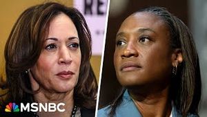 Video post by @msnbc on YouTube