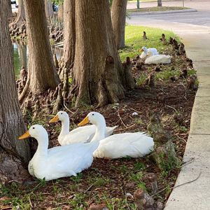 Image post by @stjohnscountylibrary on Instagram