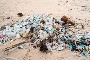 Image post by @4ocean on Instagram