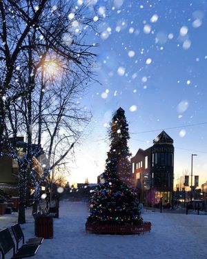 Image post by @cityofcalgary on Instagram