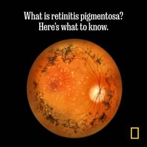 Image post by @natgeo on Instagram
