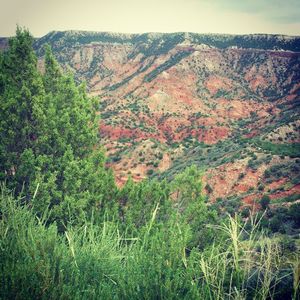 Image post by @tracethom on Instagram