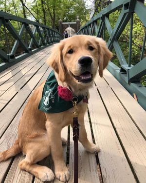 Image post by @rutgersnb on Instagram