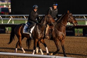 Image post by @spendthriftfarm on Instagram