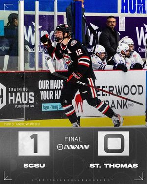 Image post by @everythingcollegehockey on Instagram