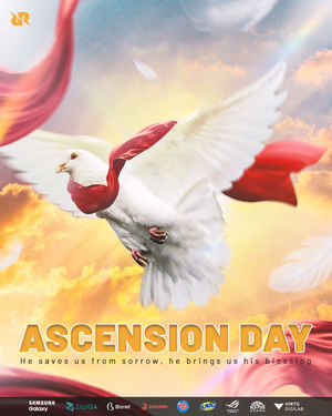 Image post by @teamrrq on Instagram