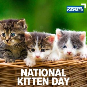 Image post by @kens5 on Instagram