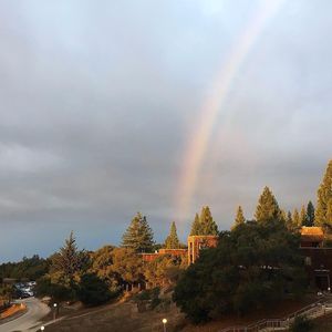 Image post by @ucsc_athrec on Instagram