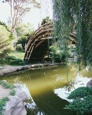 Image post by @zofeeagenota on Instagram