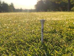 Image post by @evolvegolf on Instagram