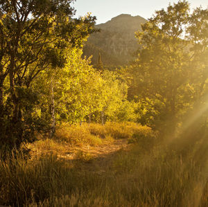 Image post by @sydneybphotography on Instagram