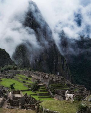 Image post by @discovery on Instagram