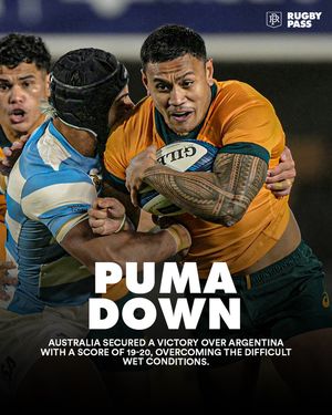 Image post by @rugbypass on Instagram