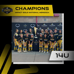 Image post by @thealliancefastpitch on Instagram