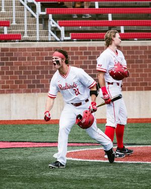 Image post by @isuredbirds on Instagram