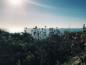 Image post by @ucsc on Instagram