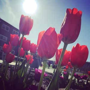 Image post by @shippensburgu on Instagram