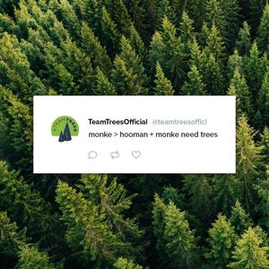 Image post by @teamtrees on Instagram