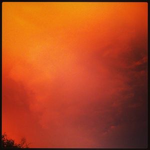 Image post by @roephoto on Instagram