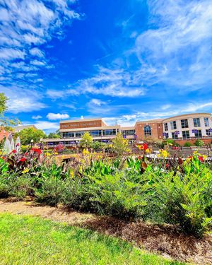 Image post by @highpointu on Instagram