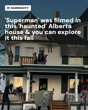 Image post by @curiocitycalgary on Instagram