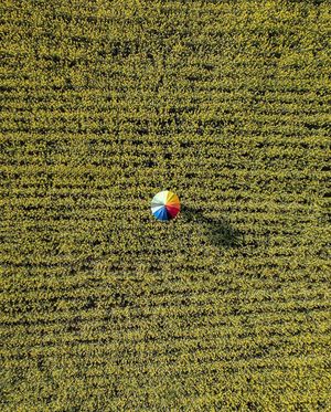Image post by @dronepals on Instagram