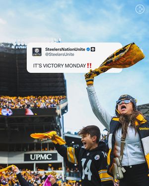 Image post by @steelers_nation_unite on Instagram