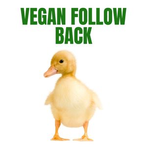 Image post by @thebodybuildingvegan on Instagram