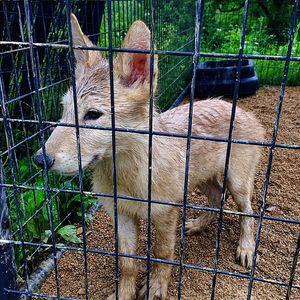 Image post by @amandabolinphotography on Instagram