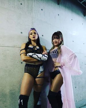 Image post by @meiko_satomura on Instagram