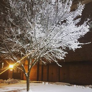 Image post by @shippensburgu on Instagram