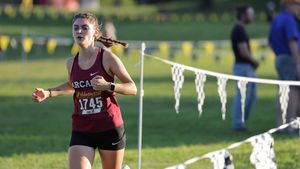 Image post by @arcadia_knights on Instagram