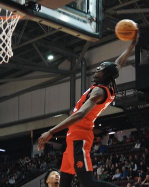 Image post by @raptors905 on Instagram