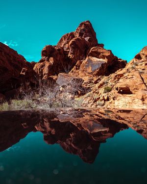Image post by @sonyalpha on Instagram