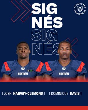 Image post by @mtlalouettes on Instagram