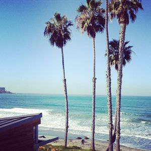Image post by @ucsdadmissions on Instagram