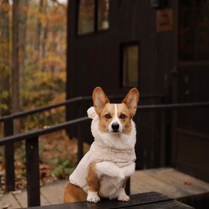Image post by @getawayhouse on Instagram