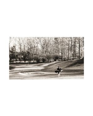 Image post by @joeydavisson on Instagram