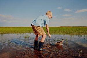 Image post by @lundbergfarms on Instagram