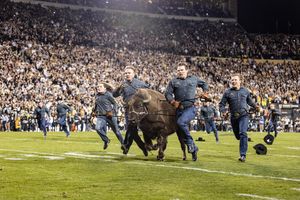Image post by @cubuffs on Instagram