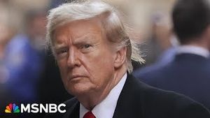 Video post by @msnbc on YouTube