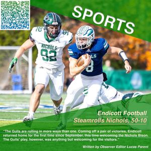 Image post by @endicottobserver on Instagram