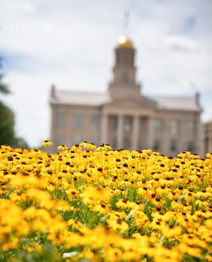 Image post by @uiowa on Instagram