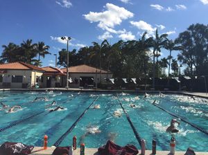 Image post by @fordhamswimdive on Instagram