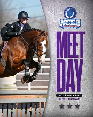 Image post by @tcuequestrian on Instagram